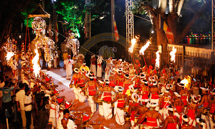 5 Reasons Why Esala Perahera Should Be on Every Traveler's Sri Lanka Bucket List